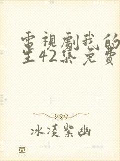 电视剧我的后半生42集免费观看