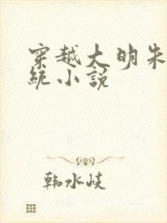 穿越大明朱雄系统小说