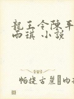 龙王令陈平,苏雨琪 小说