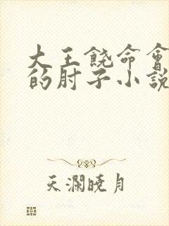 大王饶命会说话的肘子小说未删减版