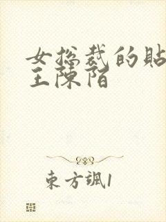 女总裁的贴身兵王陈陌