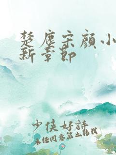 楚尘宋颜小说最新章节