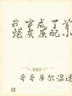 我穿成了首辅的炮灰原配小说