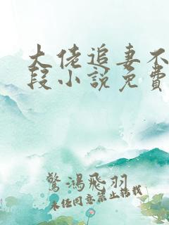 大佬追妻不择手段小说免费阅读