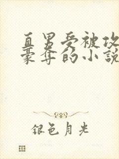 直男受被攻强取豪夺的小说