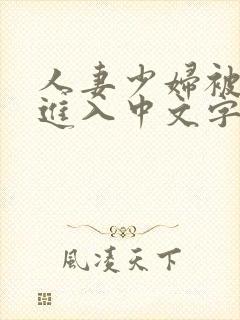 人妻少妇被猛烈进入中文字幕91