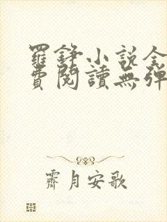 罗铮小说全文免费阅读无弹窗