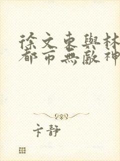 徐文东与林伊人都市无敌神医免费阅读