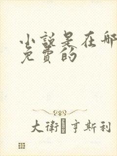 小说是在哪里看免费的