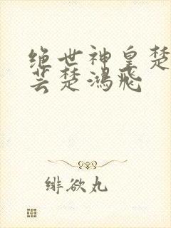 绝世神皇楚风楚芸楚鸿飞