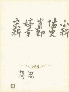 宋婷肖佑小说最新章节更新时间