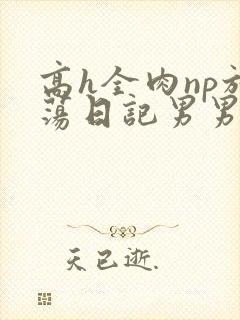 高h全肉np放荡日记男男bl