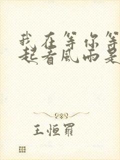 我在等你等你一起看风雨是什么歌