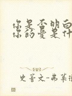 你是否明白我对你的爱是什么歌