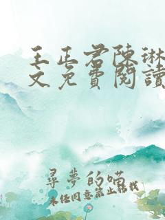 王正君陈琳洁全文免费阅读最新章节