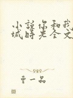 小说你和我的倾城时光全文免费阅读