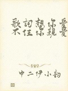 歌词想你爱你留不住你亲爱的你