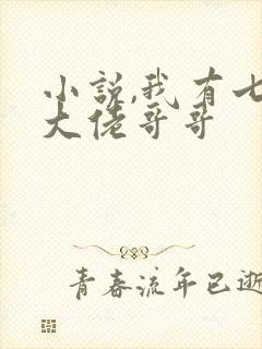 小说,我有七个大佬哥哥