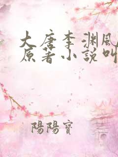 大唐李渊风流录原著小说叫什么名字