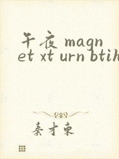 午夜 magnet xt urn btih
