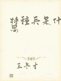 特种兵是什么意思