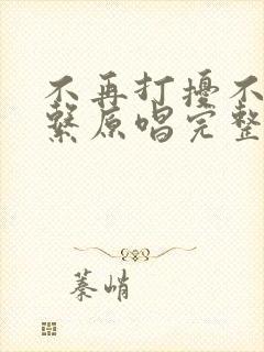 不再打扰不再联系原唱完整版歌词