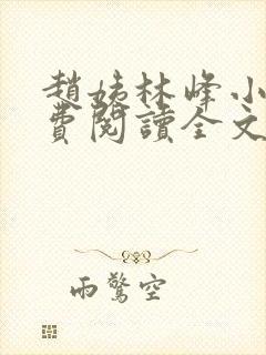 赵姨林峰小说免费阅读全文