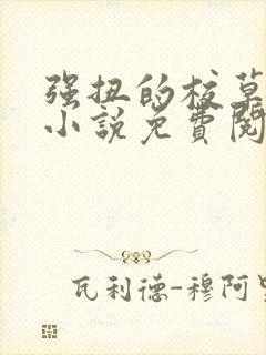 强扭的校草不甜小说免费阅读