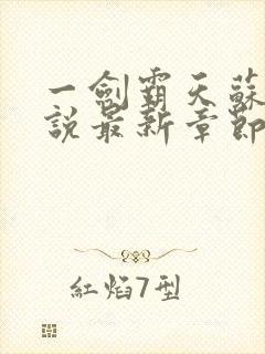 一剑霸天苏信小说最新章节