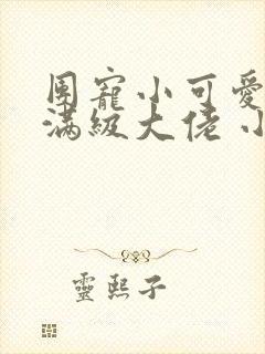 团宠小可爱成了满级大佬 小说