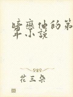 暗恋他的第十一年小说