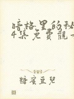 暗格里的秘密24集免费观看电视剧