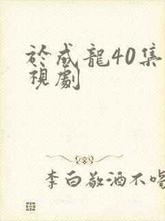 于成龙40集电视剧