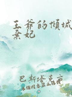 王爷的倾城下堂弃妃