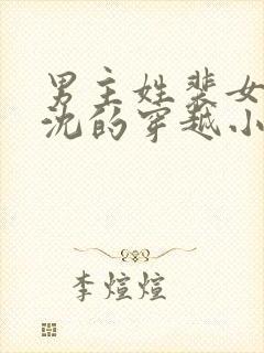 男主姓裴女主姓沈的穿越小说