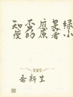 知否应是绿肥红瘦的原著小说听书