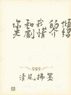 你和我的倾城时光剧情介绍