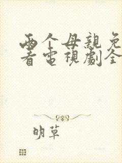 两个母亲免费观看电视剧全集