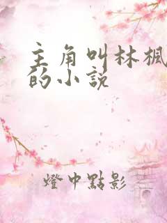 主角叫林枫穿越的小说