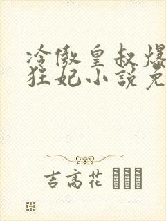 冷傲皇叔爆宠小狂妃小说免费阅读