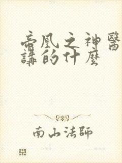 帝凰之神医弃妃讲的什么