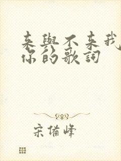 来与不来我都等你的歌词