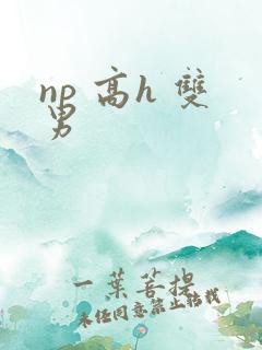 np 高h 双男