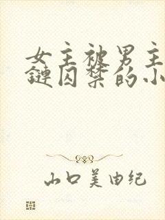 女主被男主用锁链囚禁的小说