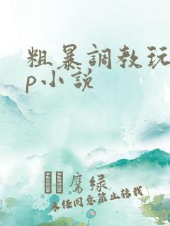 粗暴调教玩弄np小说