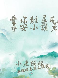 爱你难寻风月许寻安小说免费阅读