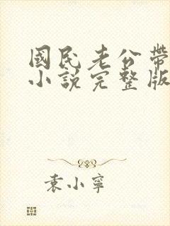 国民老公带回家小说完整版