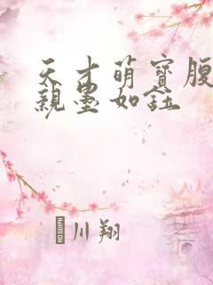 天才萌宝腹黑娘亲墨如钰