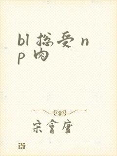 bl 总受 np 肉