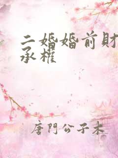 二婚婚前财产继承权